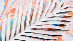 White Palm Leaf on Pastel Marbled Background  image 6