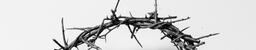 The Crown of Thorns  image 18