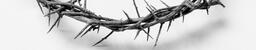 The Crown of Thorns  image 9