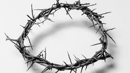 The Crown of Thorns  image 7