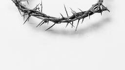 The Crown of Thorns  image 15