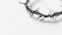 The Crown of Thorns  image 13