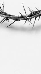 The Crown of Thorns  image 19