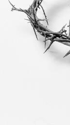 The Crown of Thorns  image 11