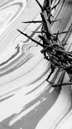 Crown of Thorns on Marbled Background  image 2