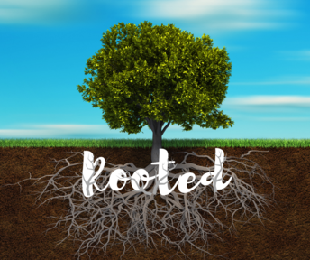Rooted In And Built Up Part 9-Show and Tell