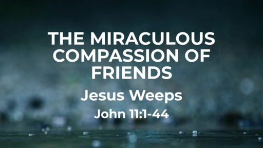 Mar 29 - The Miraculous Compassion of Friends