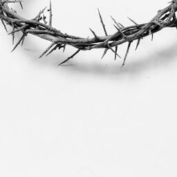The Crown of Thorns  image 12