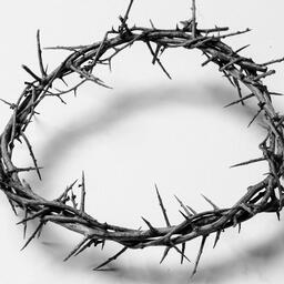 The Crown of Thorns  image 21