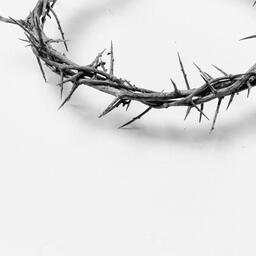 The Crown of Thorns  image 14