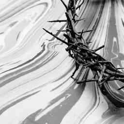 Crown of Thorns on Marbled Background  image 4