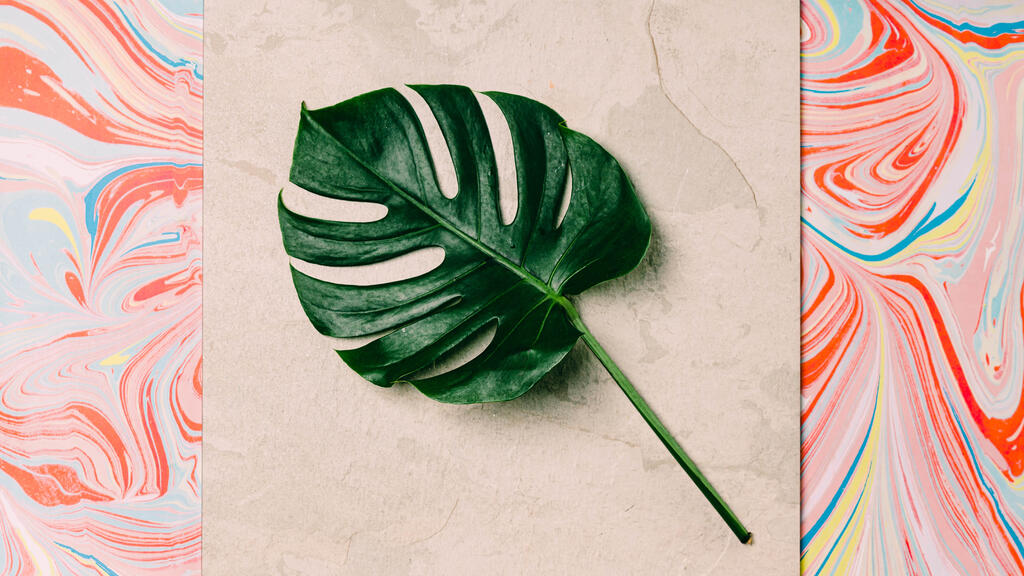 Monstera Leaf on Pastel Marbled Background large preview