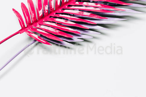 Hot Pink and Purple Palm Leaves