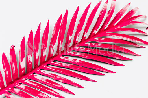 Hot Pink Palm Leaf