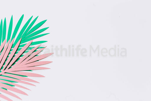Green and Pink Paper Palm Leaves