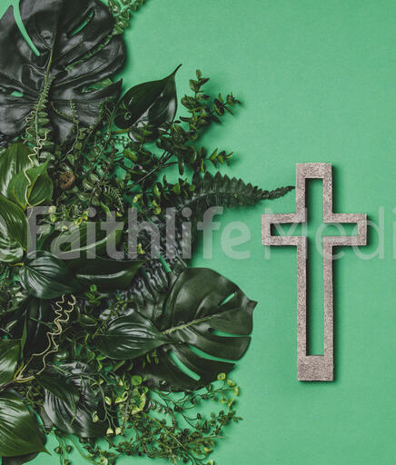 Green Foliage with a Concrete Cross Outline