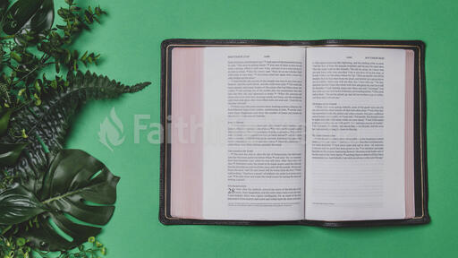Green Foliage with an Open Bible