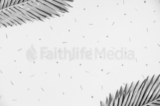 Black and White Palm Leaves with Pattern