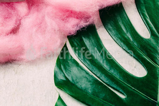 Monstera Leaf and Pink Texture