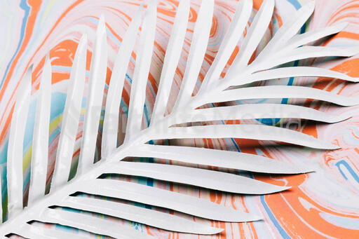 White Palm Leaf on Pastel Marbled Background