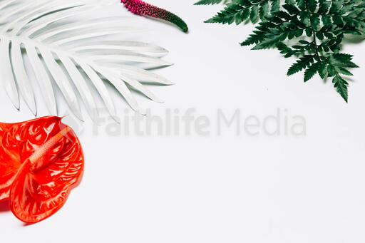 Tropical Florals and Foliage