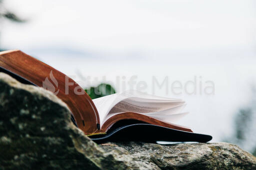 Open Bible on a Rock in Nature