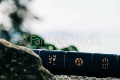 Bible on a Rock in Nature