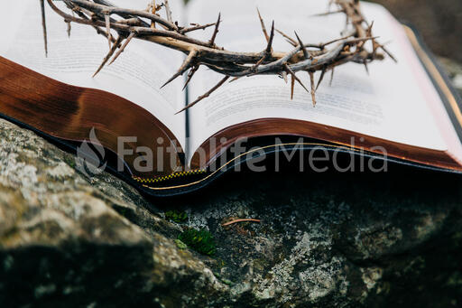 The Crown of Thorns Sitting on an Open Bible