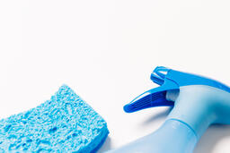 Blue Spray Bottle and Sponge  image 3