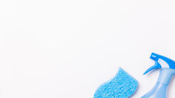 Blue Spray Bottle and Sponge  image 5