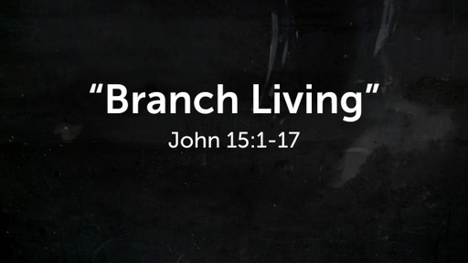 "Branch Living"John 15:1-17