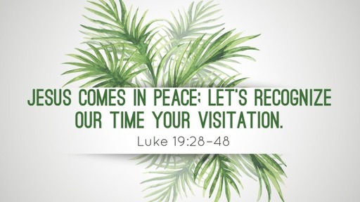 Jesus comes in peace; let’s recognize our time your visitation.