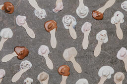 Ice Cream Samples  image 2