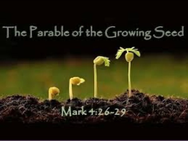 Wednesday Service-Parable of the Growing Seed-Mark 4:26-29 - Logos Sermons