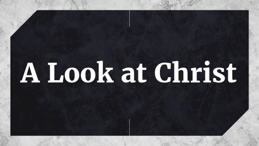 A Look at Christ