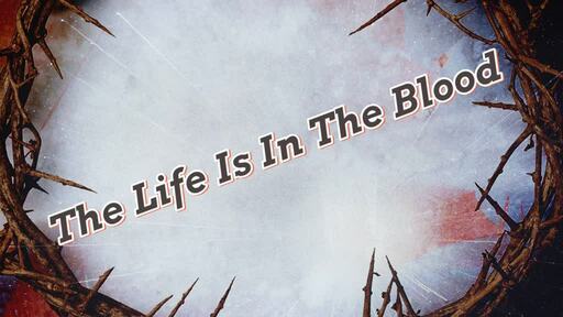 The Life Is In The Blood