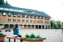 Student Sitting in an Empty College Campus  image 2