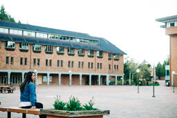 Student Sitting in an Empty College Campus  image 3