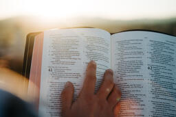 Woman Reading the Bible at Sunrise  image 2
