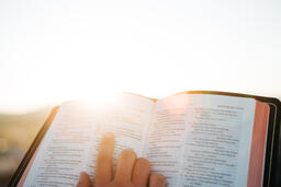 Woman Reading the Bible at Sunrise  image 1
