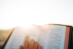 Woman Reading the Bible at Sunrise  image 2