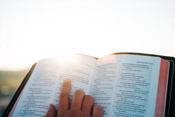 Woman Reading the Bible at Sunrise  image 3