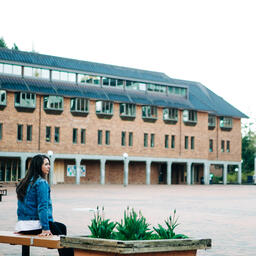 Student Sitting in an Empty College Campus  image 2