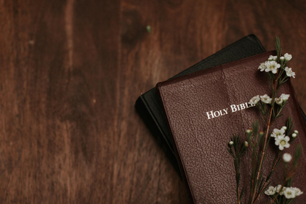 Take God at His Word!