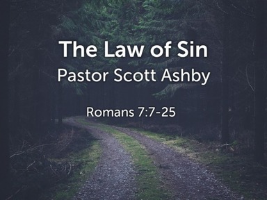 The Law of Sin