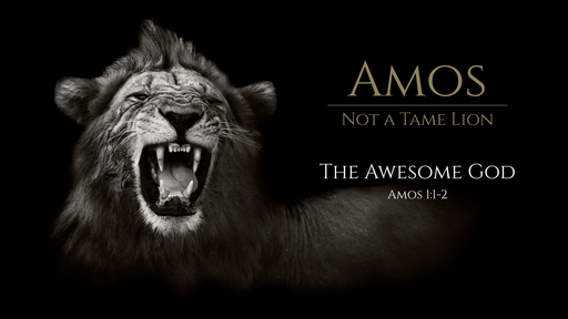 Amos : Not a Tame Lion