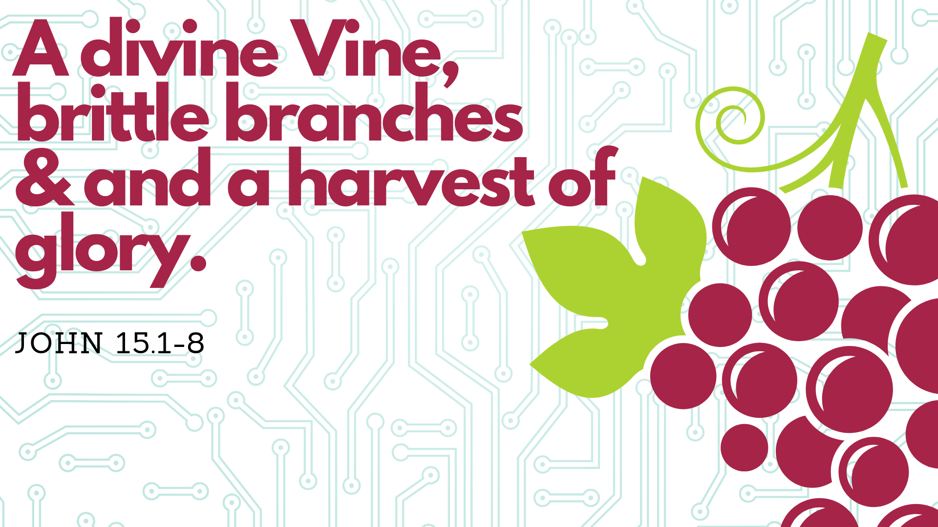 A Divine Vine, Brittle Branches, and a Harvest of Glory Logos Sermons