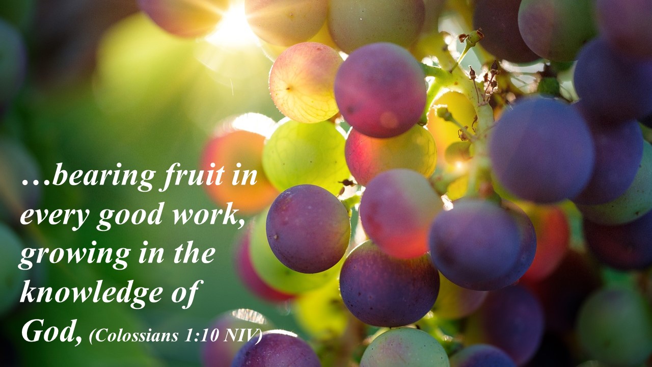 Worthy Of The Gospel Part 2 Bearing Fruit Logos Sermons