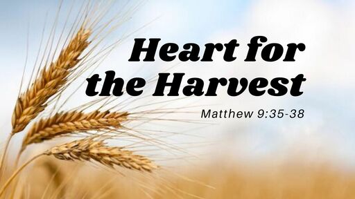 Heart For The Harvest