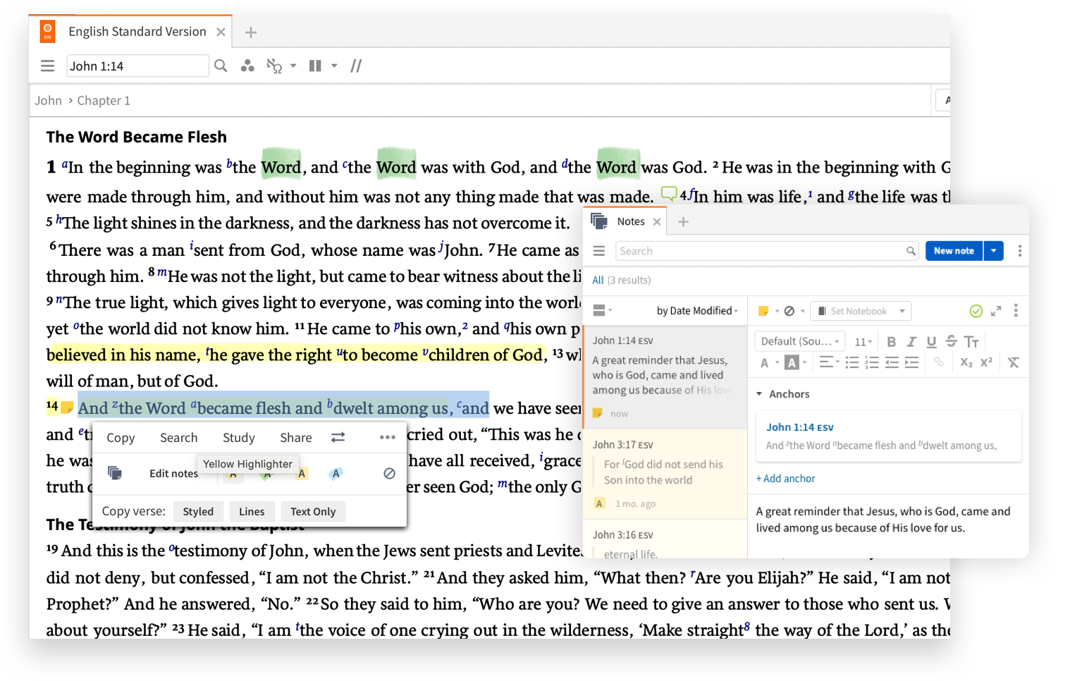 Screenshot of Logos, with custom highlights and markups